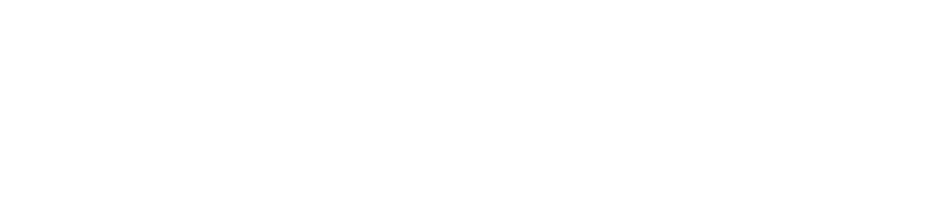 duux corporation